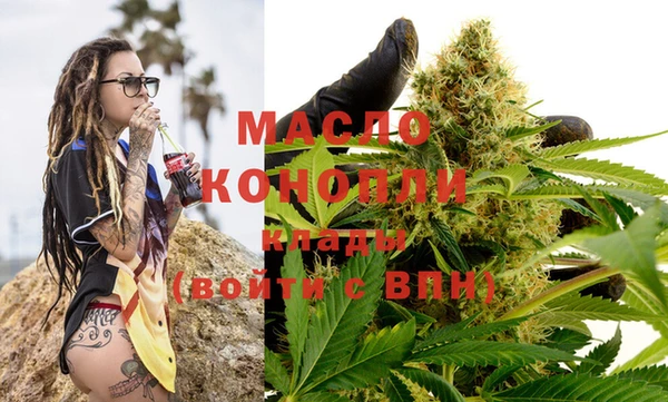 дмт Заводоуковск