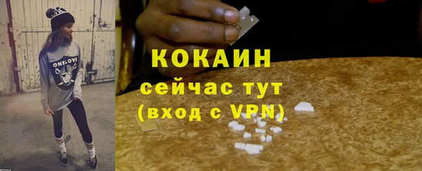 дмт Заводоуковск