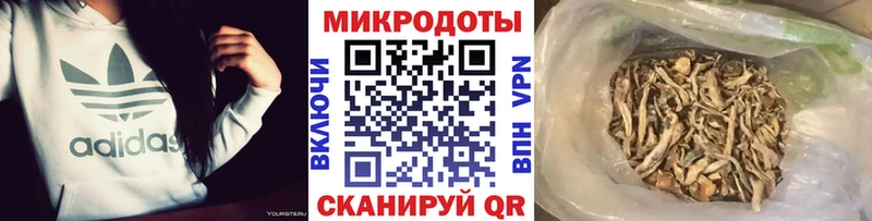 Купить  Ивантеевка  Галлюциногенные грибы GOLDEN TEACHER 